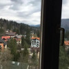 Отель Sinaia view, фото 19