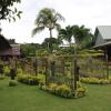 Отель Madang Lodge Hotel, фото 9