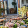 Отель Perch House, фото 5