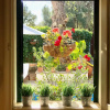 Отель Villa Jardin Epicuro - Mallorca, фото 8
