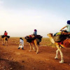 Отель Campement Iguiditours Desert M'hamid, фото 15
