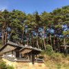 Отель Korean Traditional House - Chungnokdang, фото 20