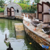 Отель Nangong Hot Spring Health Hotel, фото 14