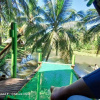 Отель Caliraya Ecoville Recreation and Farm Resort, фото 20