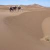 Отель Desert Bivouac Mhamid, фото 19