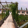 Отель Xiangyun Island Guest House, фото 6