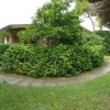 Отель Villa Genny, фото 17