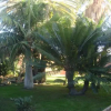 Отель Villa al Alba, фото 27