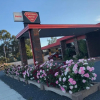 Отель Statesman Motor Inn, фото 14