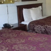 Отель The Pines Motel, фото 13