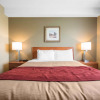 Отель Comfort Inn & Suites, фото 4