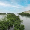 Отель Tortuga Bay 6-1 by Padre Island Rentals, фото 17