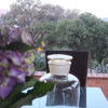 Отель B&B VìVì, фото 5