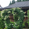 Отель Huen Pak Mon Chantra, фото 26