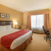 Отель Country Inn & Suites by Radisson, Port Orange-Daytona, FL, фото 4