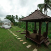 Отель Bubble Hotel Bali Ubud - Glamping, фото 7
