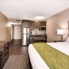 Отель Comfort Inn & Suites Red Deer, фото 11
