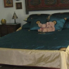 Отель The Mermaids' Porch Bed and Breakfast, фото 14