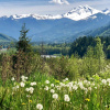 Отель 15MBH - Amazing Mountain Views - Hot Tub - Pets Ok - Sleeps 6, фото 11