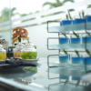 Отель Noola Hotel Cilacap, фото 8
