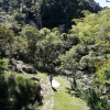 Отель Finca Ecolodges El Ocelote, фото 27