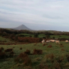 Отель Large 5-bed Country House, Aughagower, Westport,, фото 16
