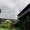 Отель Hawaii Belt Coffee Garden, фото 38