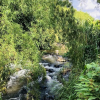 Отель Entre Los Arboles Hotel, фото 24