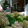 Отель Simcoe Suites on the Henley B&B, фото 11