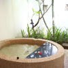 Отель The Mudan Hot Springs Resort & Villa, фото 4