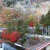 Отель Atarashiya Ryokan - Dorogawa-onsen Hot Spring, фото 3