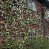 Отель Saga Trollheimen Hotel, фото 11
