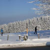 Отель Landgasthof zum Sorpetal, фото 18