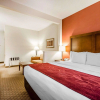 Отель Comfort Suites Prestonsburg West, фото 7