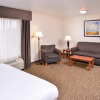 Отель Holiday Inn Express & Suites Sioux Falls At Empire Mall, an IHG Hotel, фото 4