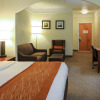 Отель Comfort Inn & Suites, Odessa I-20, фото 3