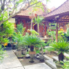 Отель Aurora House Ubud, фото 11