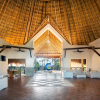 Отель Catalonia Yucatan Beach - All Inclusive, фото 10