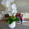 Отель Cantya Hotel, фото 2