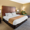 Отель Comfort Inn & Suites Lincoln Talladega I-20, фото 6
