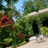 Отель Villa de Leva - Casa Verde, фото 19