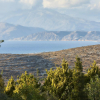 Отель Orelia Cretan Villas & Deluxe Apartments, фото 19