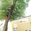 Отель Boki Hostel, фото 1
