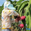 Отель Weizhou Island Sihe Whale Watching Homestay, фото 13