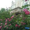 Отель Tianhong Villa Hotel, фото 17