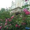 Отель Tianhong Villa Hotel, фото 16