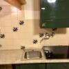 Отель Venice Sun Apartment and rooms, фото 7