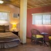 Отель B & B Comfy Inn, фото 3