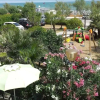 Отель Nettuno Senigallia, фото 15