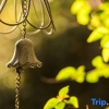 Отель Xishuangbanna Jinghong Zhongtai Homestay (Rainforest Lanshan Branch), фото 8